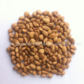 new crop 100%Pure natural wild pine nuts edible nuts